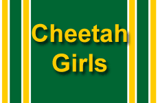 Click Here to go to the Cheetah Girls web page.
