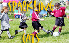 Click Here to go to the Sparkling Cats web page.